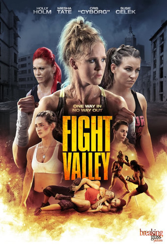 Долина борьбы / Fight Valley (2016)