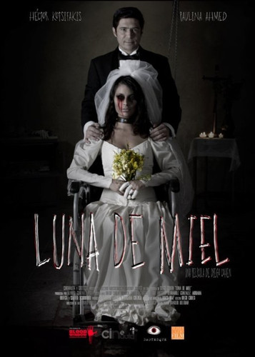 Медовый месяц / Luna de miel (2015)