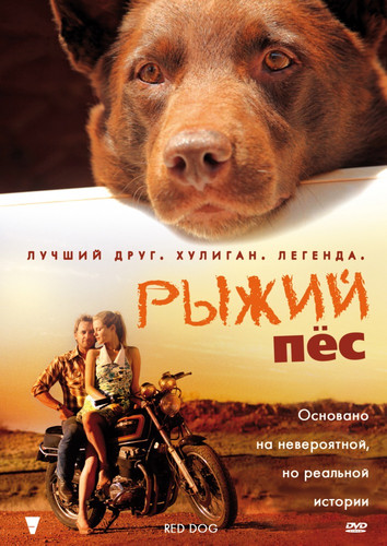 Рыжий пес / Red Dog (2011)