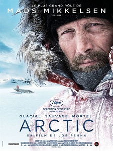 Затерянные во льдах / Arctic (2018)