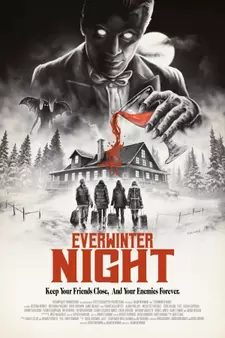 Ночь вечной зимы / Everwinter Night (2023)