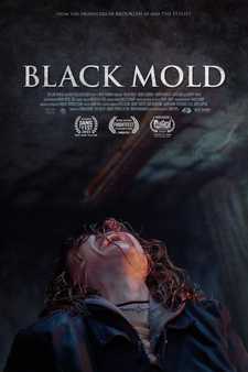 Чёрная плесень / Black Mold (2023)