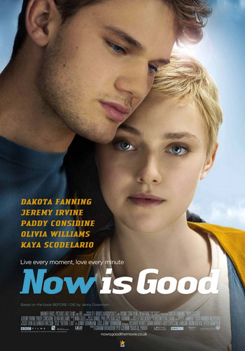 Сейчас самое время / Now Is Good (2012)